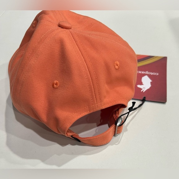 Cotopaxi Do Good Stripe Dad Hat NWT Embroidered Graphic Coral Adjustable Strap - Picture 3 of 7